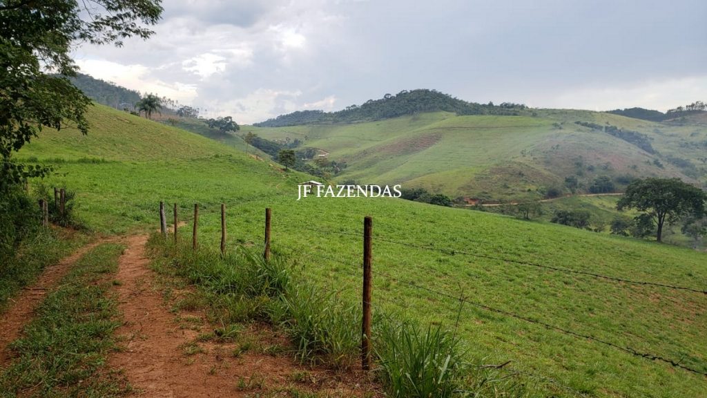 Fazenda em Simão Pereira – MG – 250 hectares Fazenda em Simão Pereira – MG – 250 hectares