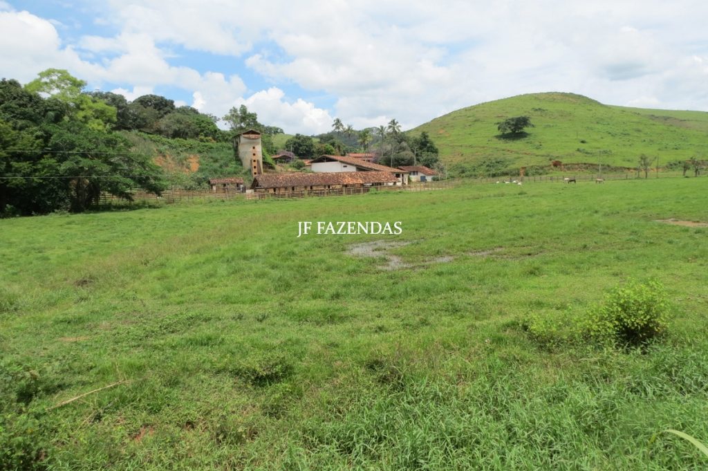 Fazenda em Leopoldina – MG – 1563,32 hectares Fazenda em Leopoldina – MG – 1563,32 hectares