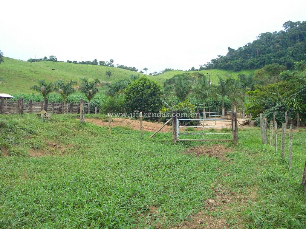 Fazenda em Juiz de Fora/MG – 90 hectares
