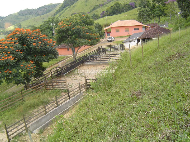 Fazenda em Juiz de Fora/MG – 220 hectares