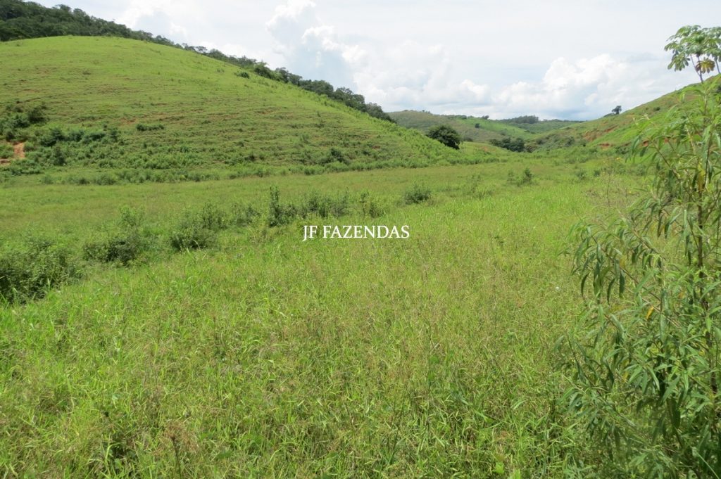 Fazenda em Leopoldina – MG – 1563,32 hectares Fazenda em Leopoldina – MG – 1563,32 hectares