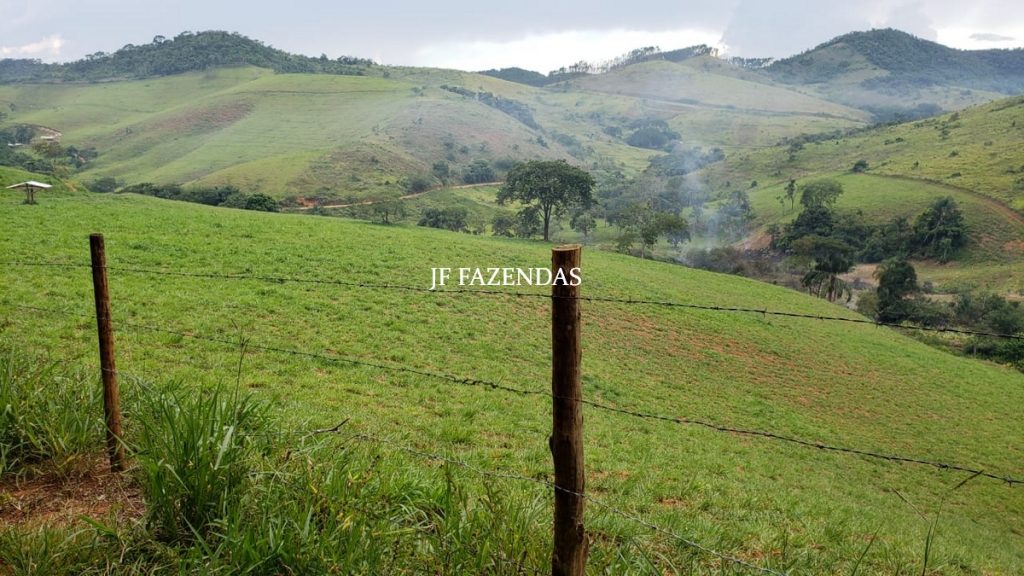 Fazenda em Simão Pereira – MG – 250 hectares Fazenda em Simão Pereira – MG – 250 hectares
