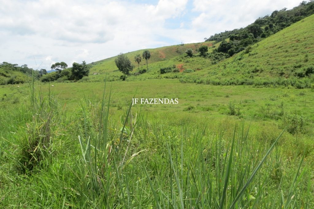 Fazenda em Leopoldina – MG – 1563,32 hectares Fazenda em Leopoldina – MG – 1563,32 hectares