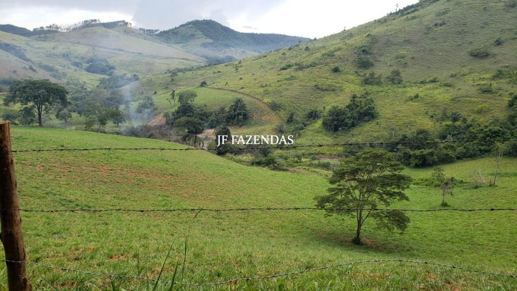 Fazenda em Simão Pereira – MG – 250 hectares Fazenda em Simão Pereira – MG – 250 hectares