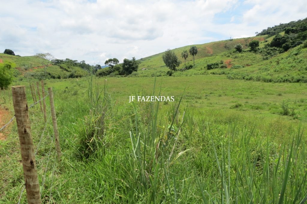 Fazenda em Leopoldina – MG – 1563,32 hectares Fazenda em Leopoldina – MG – 1563,32 hectares