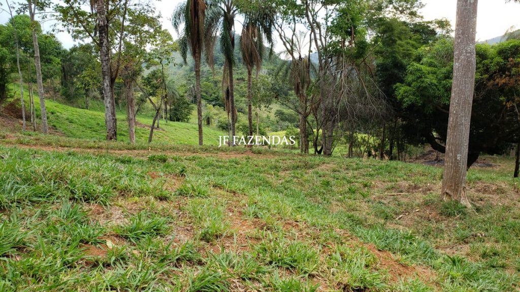 Fazenda em Simão Pereira – MG – 250 hectares Fazenda em Simão Pereira – MG – 250 hectares