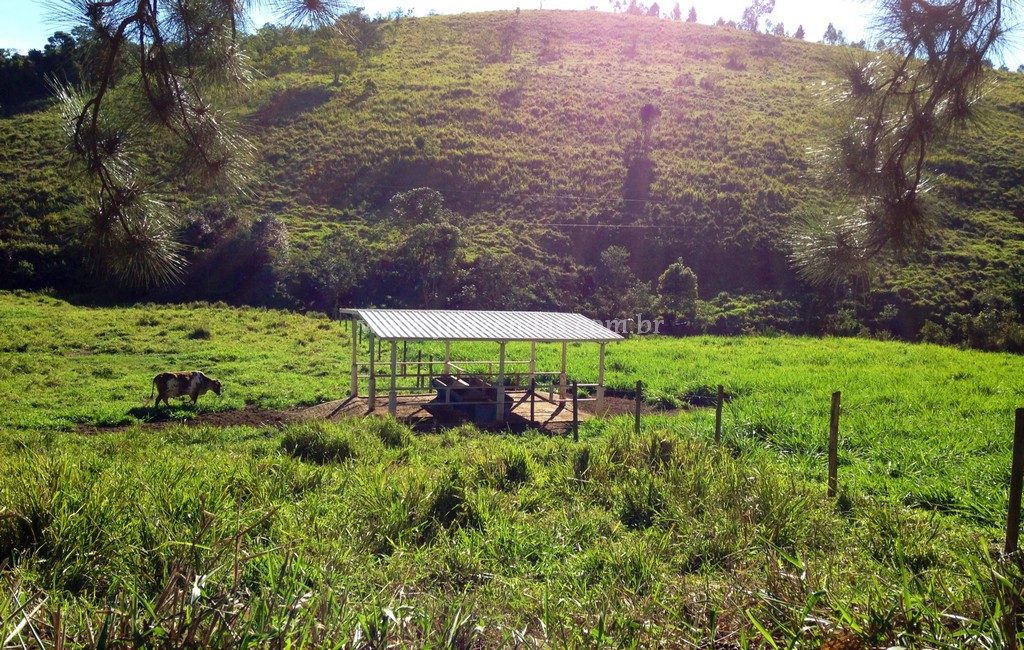 Fazenda georreferenciada com 54 hectares – Juiz de Fora – MG Fazenda georreferenciada com 54 hectares – Juiz de Fora – MG