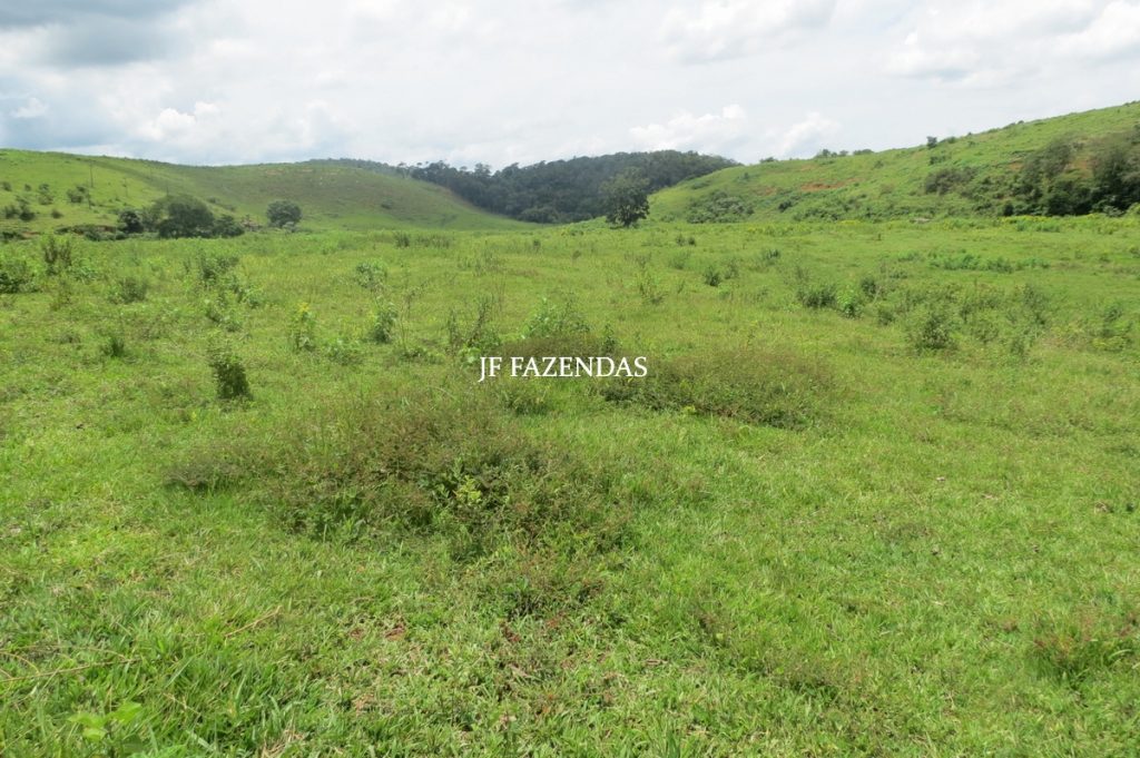 Fazenda em Leopoldina – MG – 1563,32 hectares Fazenda em Leopoldina – MG – 1563,32 hectares