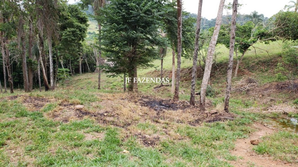 Fazenda em Simão Pereira – MG – 250 hectares Fazenda em Simão Pereira – MG – 250 hectares