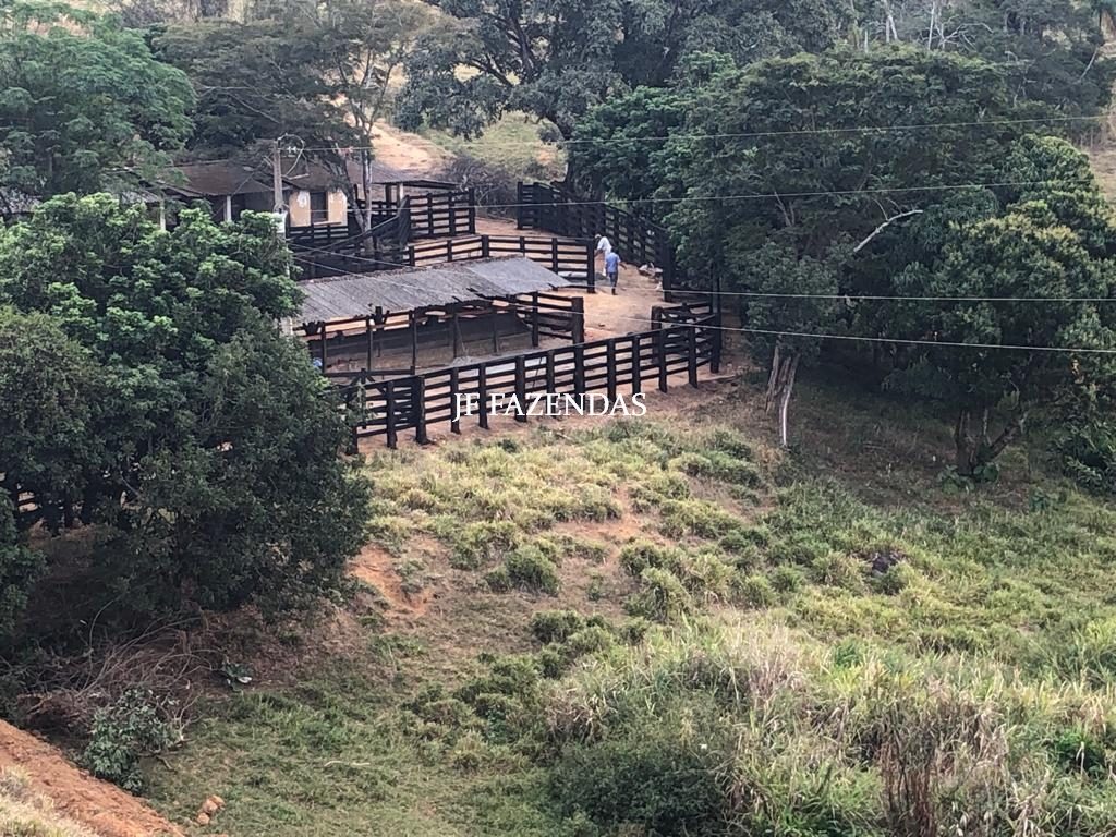 Fazenda produtora de leite – 315,5078 hectares – Guarani – MG Fazenda produtora de leite – 315,5078 hectares – Guarani – MG