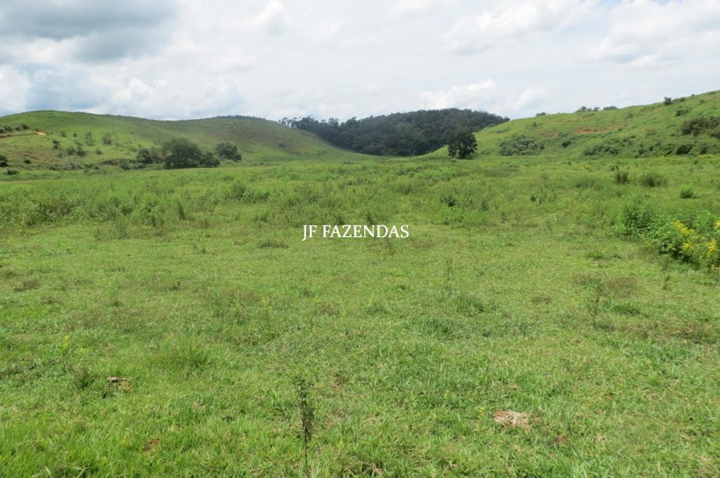 Fazenda em Leopoldina – MG – 1563,32 hectares Fazenda em Leopoldina – MG – 1563,32 hectares