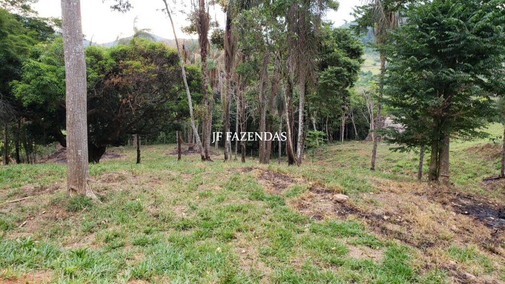 Fazenda em Simão Pereira – MG – 250 hectares Fazenda em Simão Pereira – MG – 250 hectares