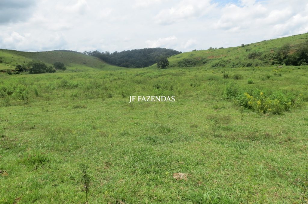 Fazenda em Leopoldina – MG – 1563,32 hectares Fazenda em Leopoldina – MG – 1563,32 hectares