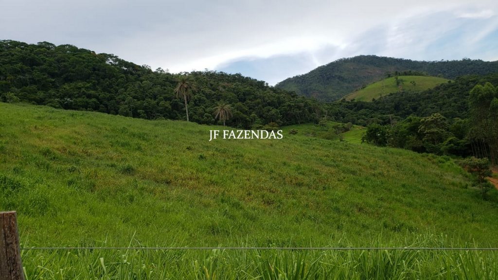 Fazenda em Simão Pereira – MG – 250 hectares Fazenda em Simão Pereira – MG – 250 hectares