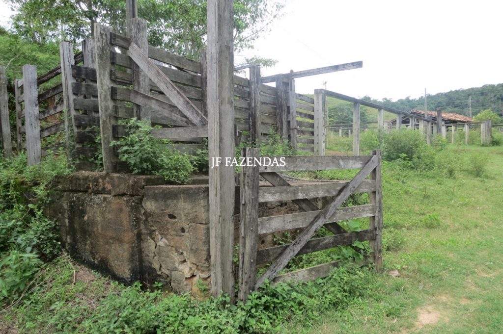 Fazenda em Leopoldina – MG – 1563,32 hectares Fazenda em Leopoldina – MG – 1563,32 hectares