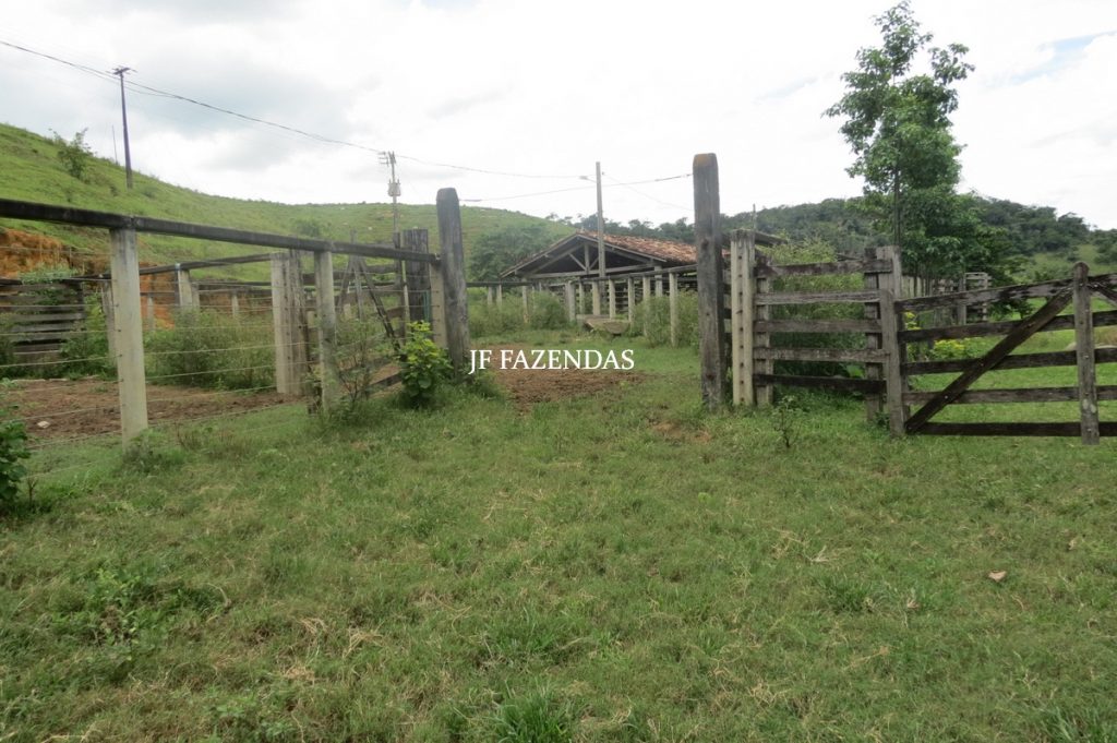Fazenda em Leopoldina – MG – 1563,32 hectares Fazenda em Leopoldina – MG – 1563,32 hectares