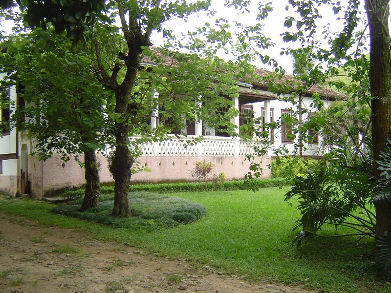Fazenda em Belmiro Braga – MG – 837.32 hectares Fazenda em Belmiro Braga – MG – 837.32 hectares