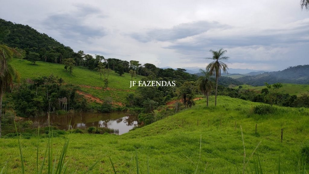 Fazenda em Simão Pereira – MG – 250 hectares Fazenda em Simão Pereira – MG – 250 hectares