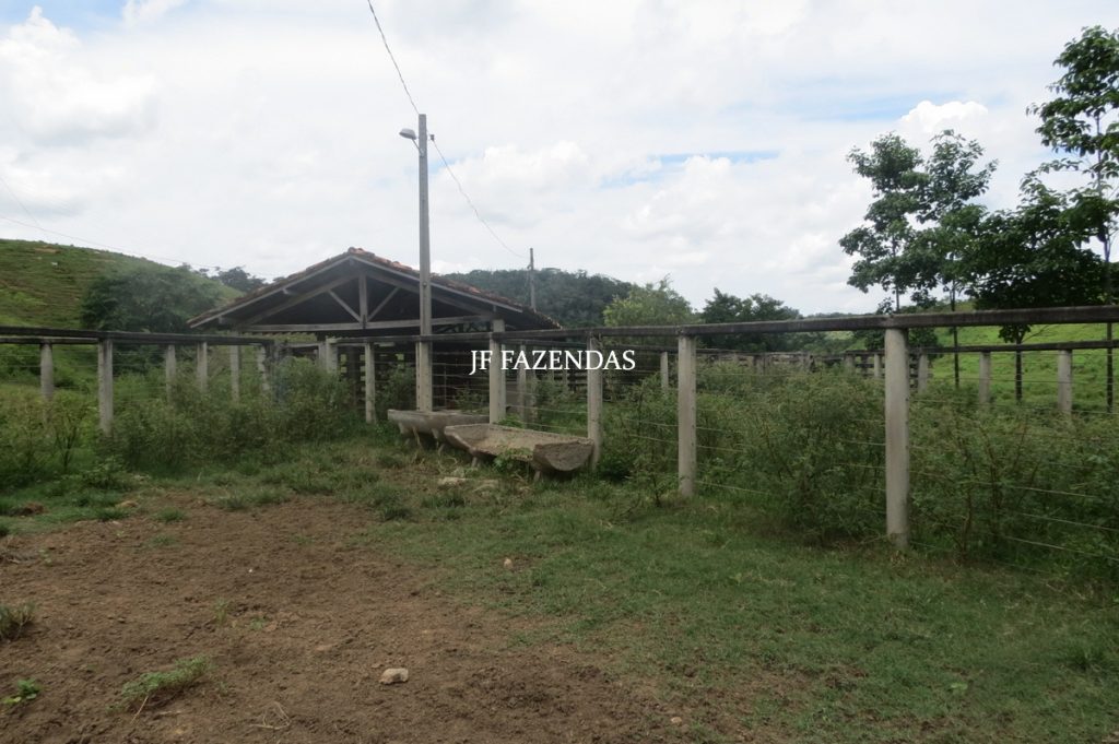 Fazenda em Leopoldina – MG – 1563,32 hectares Fazenda em Leopoldina – MG – 1563,32 hectares