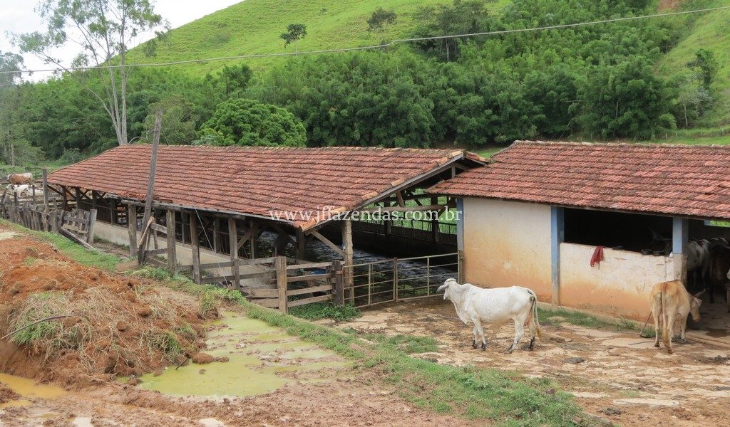 Fazenda em Valença – RJ – 1112 hectares Fazenda em Valença – RJ – 1112 hectares