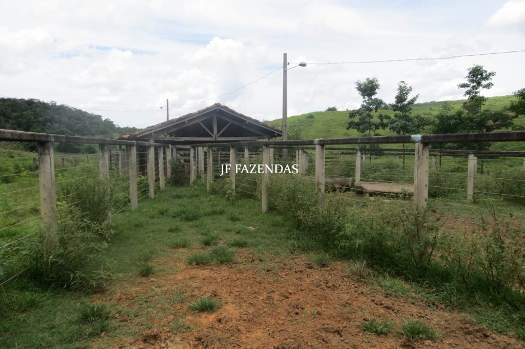 Fazenda em Leopoldina – MG – 1563,32 hectares Fazenda em Leopoldina – MG – 1563,32 hectares