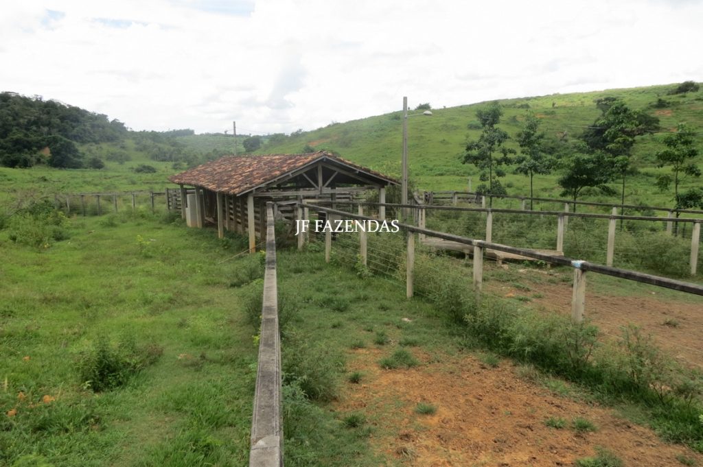 Fazenda em Leopoldina – MG – 1563,32 hectares Fazenda em Leopoldina – MG – 1563,32 hectares