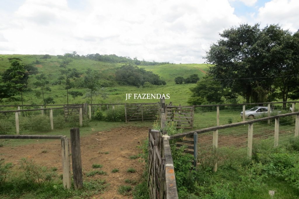 Fazenda em Leopoldina – MG – 1563,32 hectares Fazenda em Leopoldina – MG – 1563,32 hectares
