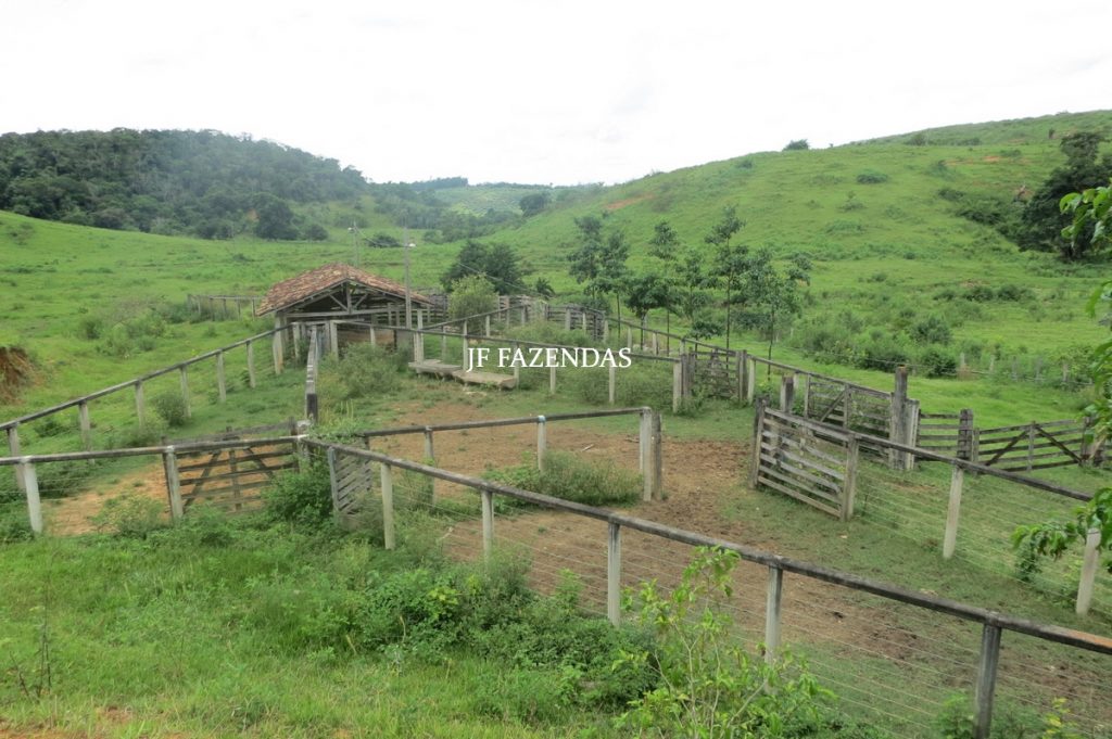 Fazenda em Leopoldina – MG – 1563,32 hectares Fazenda em Leopoldina – MG – 1563,32 hectares