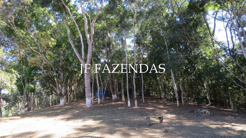 Granja em Matias Barbosa – MG – 12.912 metros quadrados Granja em Matias Barbosa – MG – 12.912 metros quadrados