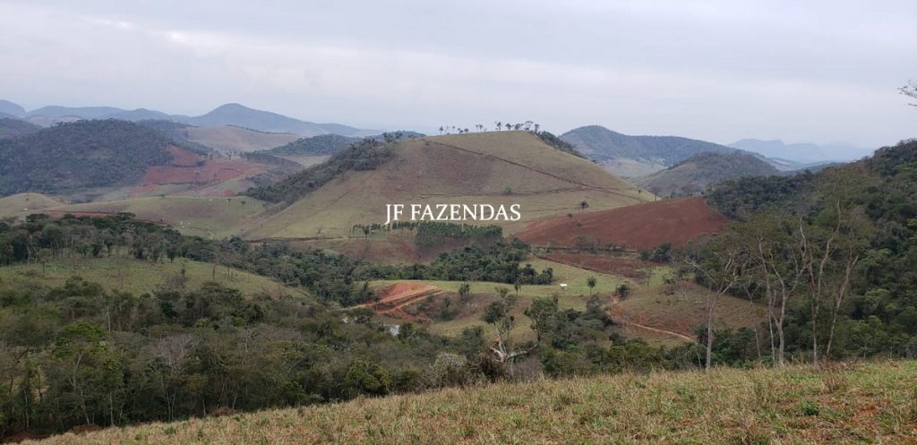 Fazenda em Simão Pereira – MG – 250 hectares Fazenda em Simão Pereira – MG – 250 hectares