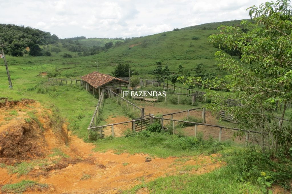 Fazenda em Leopoldina – MG – 1563,32 hectares Fazenda em Leopoldina – MG – 1563,32 hectares