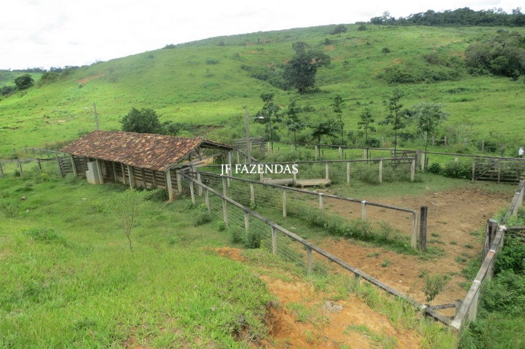 Fazenda em Leopoldina – MG – 1563,32 hectares Fazenda em Leopoldina – MG – 1563,32 hectares
