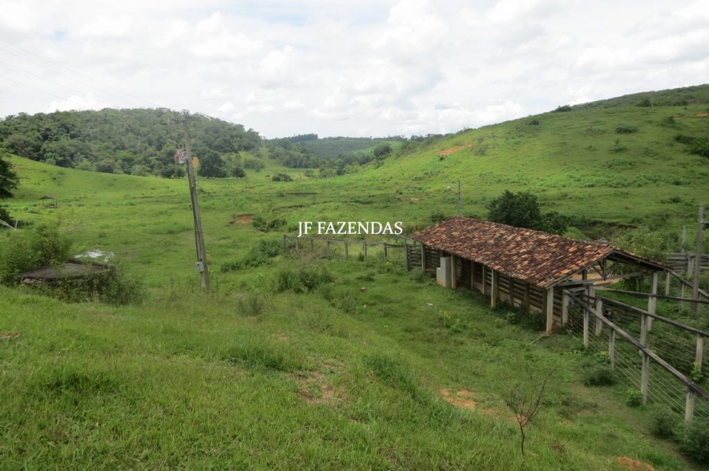 Fazenda em Leopoldina – MG – 1563,32 hectares Fazenda em Leopoldina – MG – 1563,32 hectares