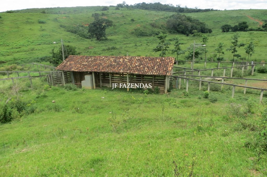 Fazenda em Leopoldina – MG – 1563,32 hectares Fazenda em Leopoldina – MG – 1563,32 hectares