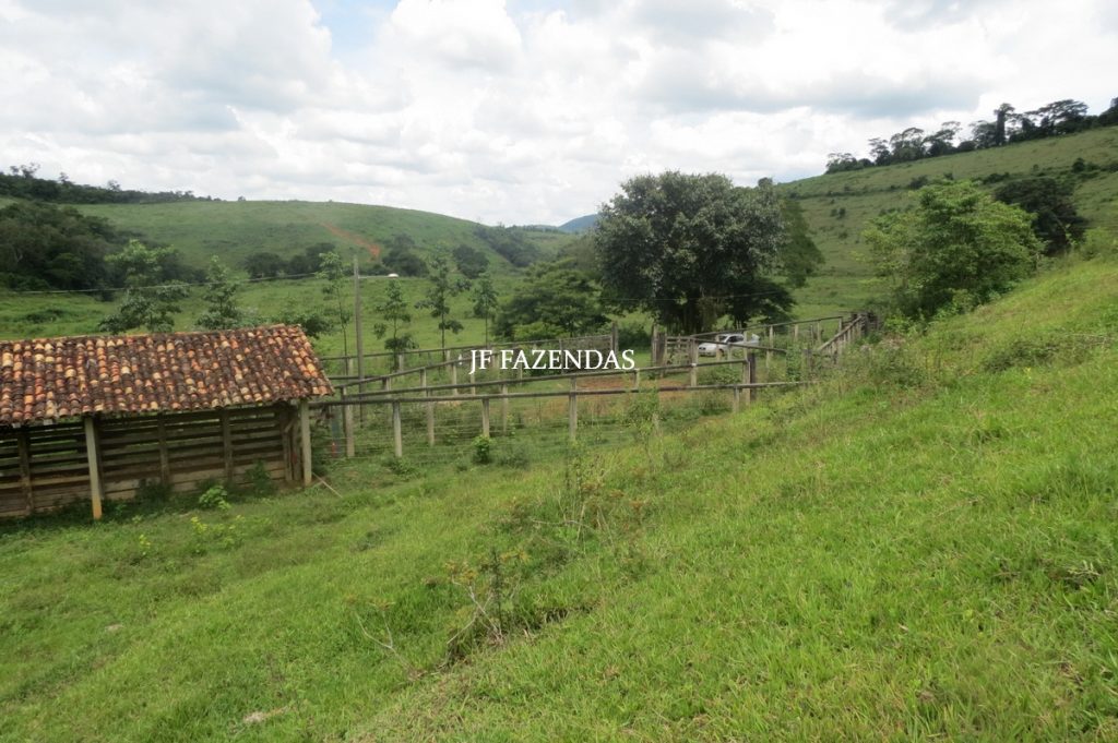 Fazenda em Leopoldina – MG – 1563,32 hectares Fazenda em Leopoldina – MG – 1563,32 hectares