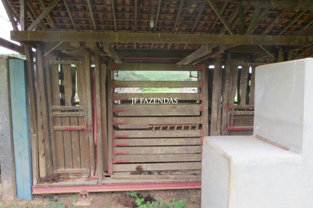 Fazenda em Leopoldina – MG – 1563,32 hectares Fazenda em Leopoldina – MG – 1563,32 hectares