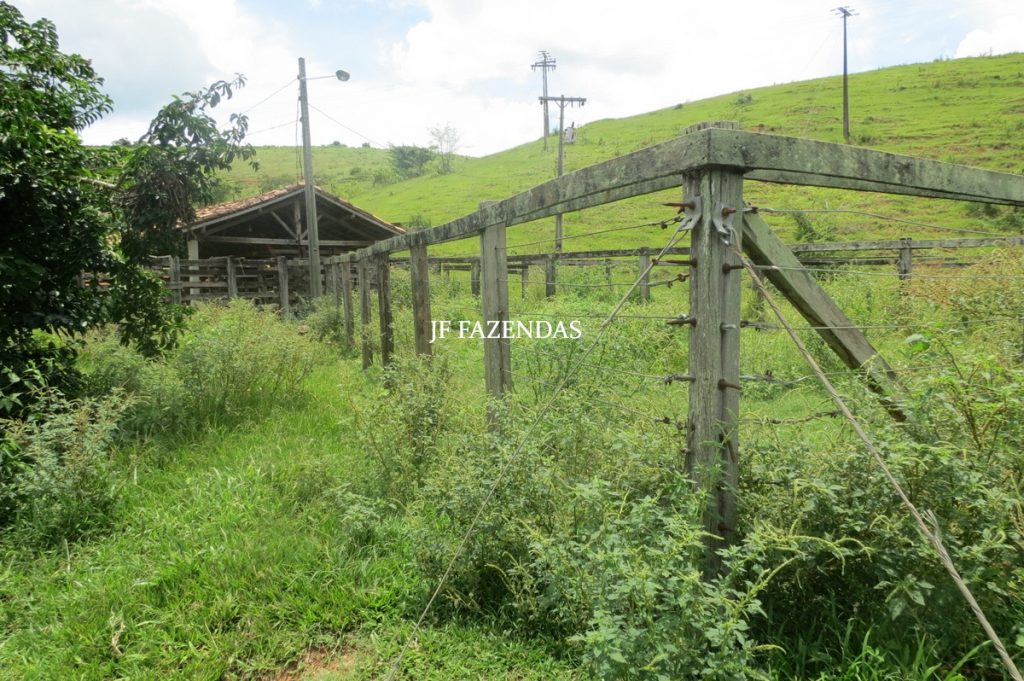 Fazenda em Leopoldina – MG – 1563,32 hectares Fazenda em Leopoldina – MG – 1563,32 hectares