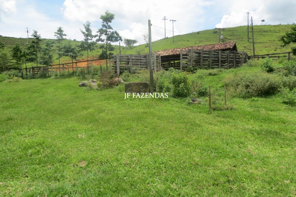 Fazenda em Leopoldina – MG – 1563,32 hectares Fazenda em Leopoldina – MG – 1563,32 hectares