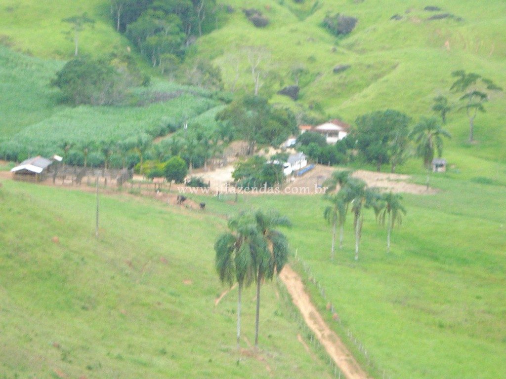 Fazenda em Juiz de Fora/MG – 90 hectares