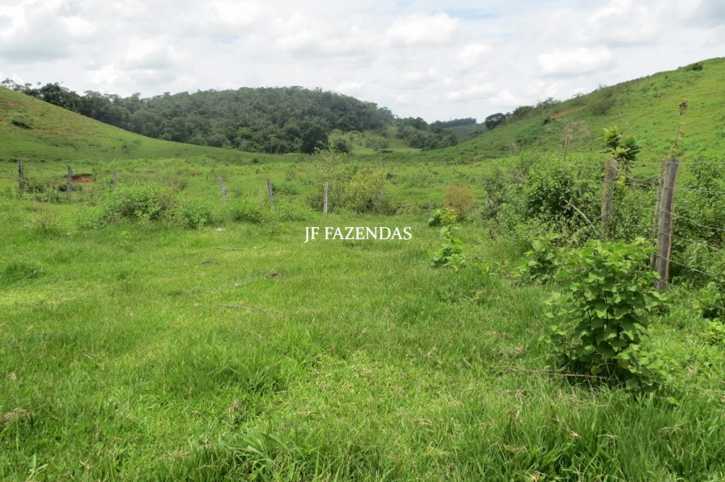 Fazenda em Leopoldina – MG – 1563,32 hectares Fazenda em Leopoldina – MG – 1563,32 hectares