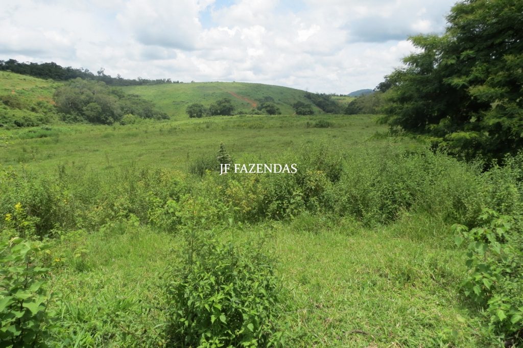 Fazenda em Leopoldina – MG – 1563,32 hectares Fazenda em Leopoldina – MG – 1563,32 hectares
