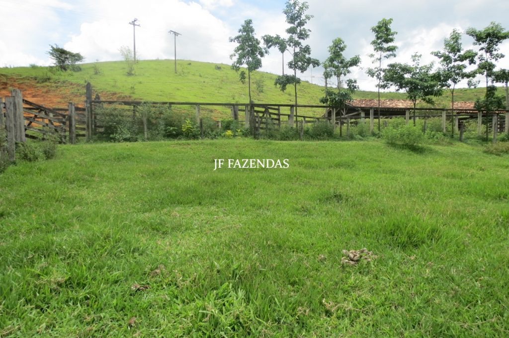 Fazenda em Leopoldina – MG – 1563,32 hectares Fazenda em Leopoldina – MG – 1563,32 hectares