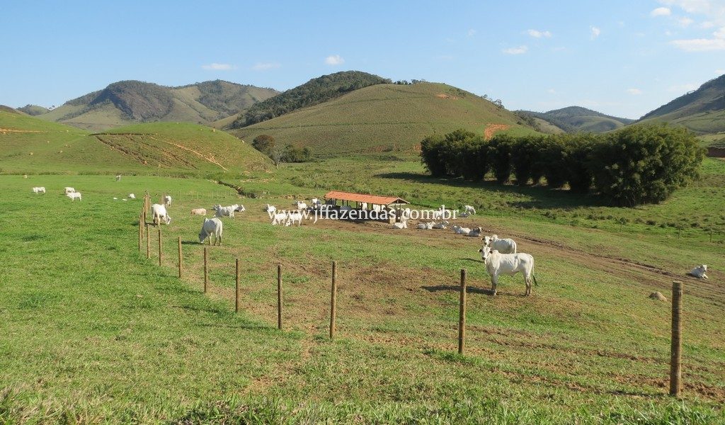 Fazenda em Juiz de Fora – MG – 420 hectares