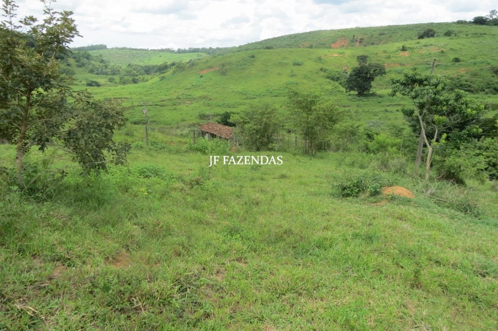 Fazenda em Leopoldina – MG – 1563,32 hectares Fazenda em Leopoldina – MG – 1563,32 hectares