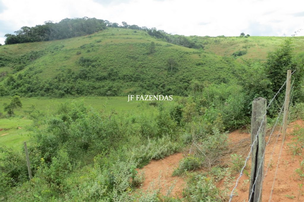 Fazenda em Leopoldina – MG – 1563,32 hectares Fazenda em Leopoldina – MG – 1563,32 hectares