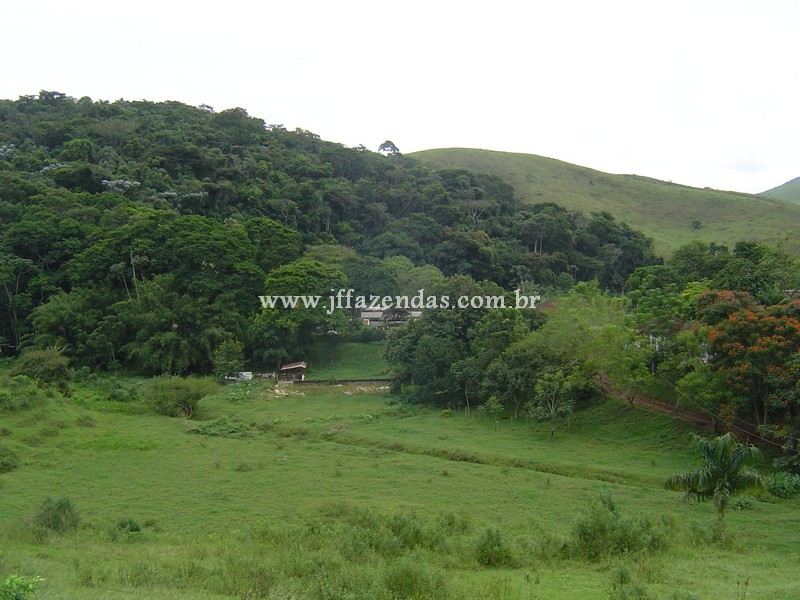 Fazenda em Belmiro Braga – MG – 837.32 hectares Fazenda em Belmiro Braga – MG – 837.32 hectares
