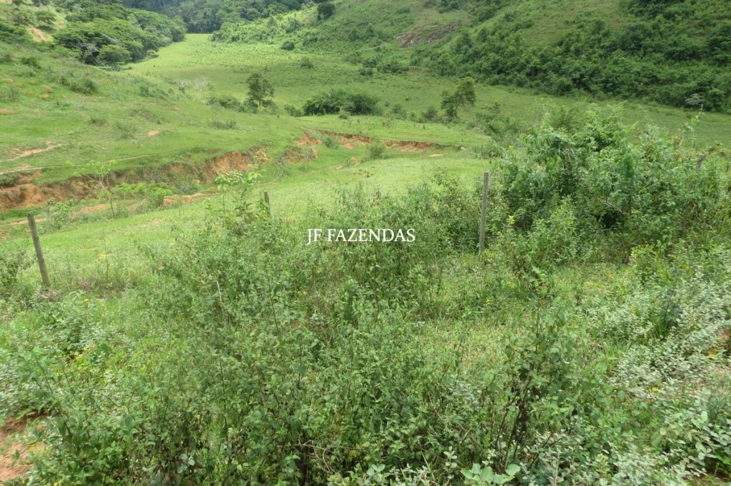 Fazenda em Leopoldina – MG – 1563,32 hectares Fazenda em Leopoldina – MG – 1563,32 hectares