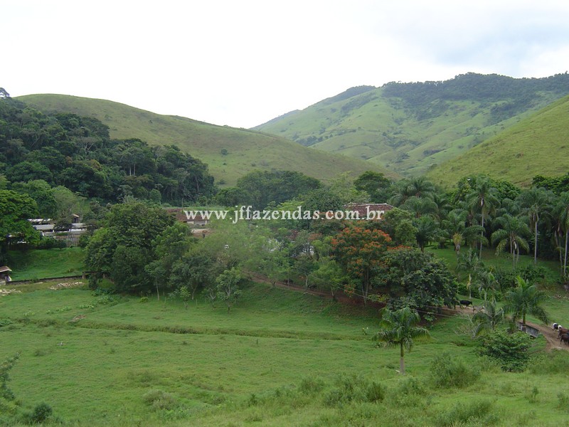 Fazenda em Belmiro Braga – MG – 837.32 hectares Fazenda em Belmiro Braga – MG – 837.32 hectares