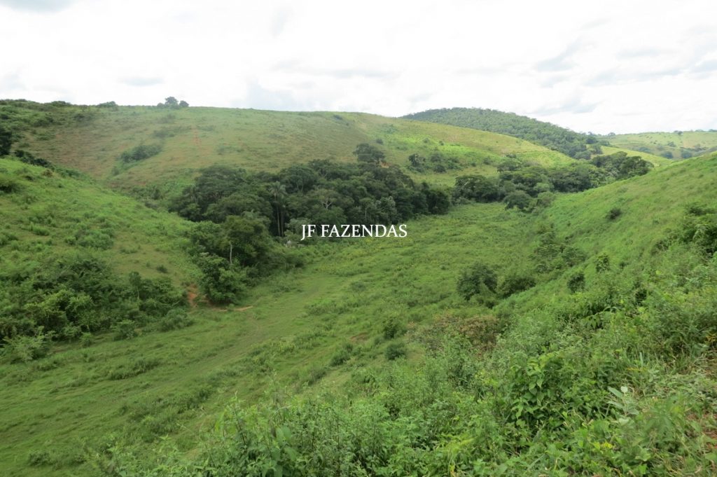 Fazenda em Leopoldina – MG – 1563,32 hectares Fazenda em Leopoldina – MG – 1563,32 hectares