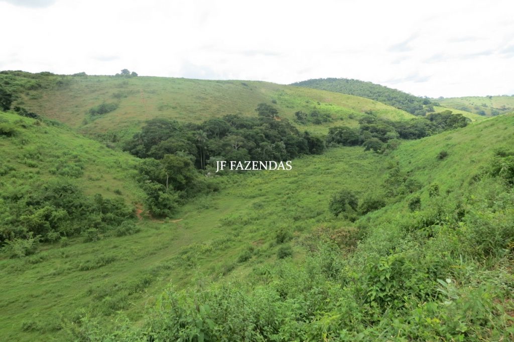 Fazenda em Leopoldina – MG – 1563,32 hectares Fazenda em Leopoldina – MG – 1563,32 hectares